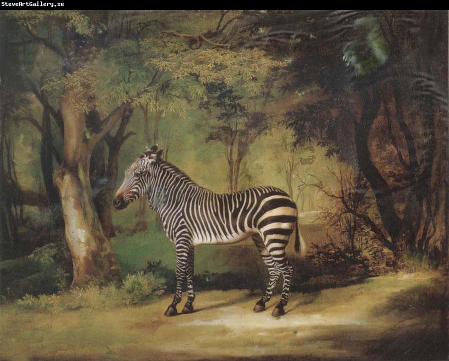 George Stubbs Horse